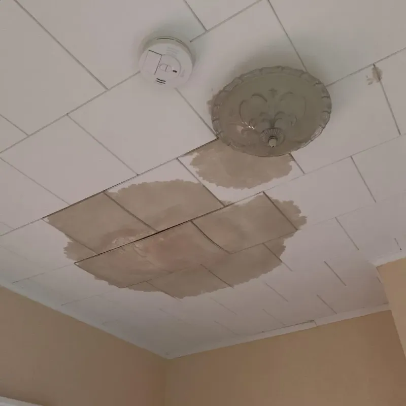 Ceiling Water Damage Repair in Hyde County, SD