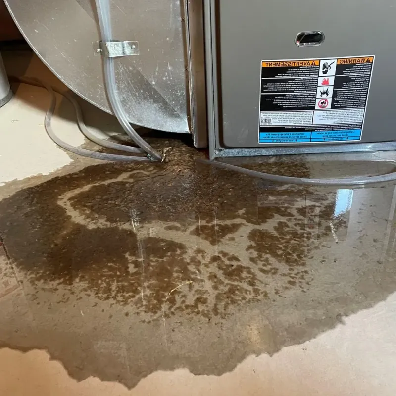 Pipe Burst and Leak Restoration in Hyde County, SD